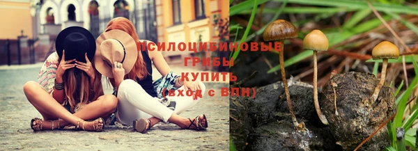 ешки Абинск
