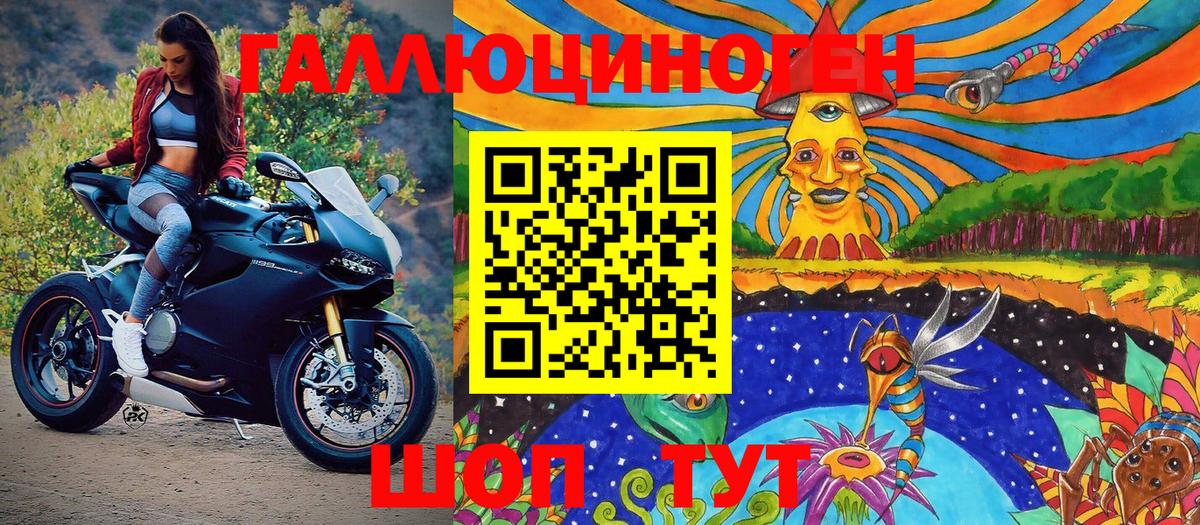 Галлюциногенные грибы Psilocybe Нижневартовск